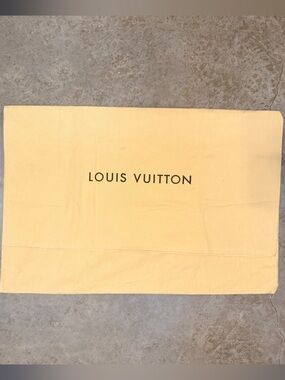 Louis Vuitton Large Dustbag